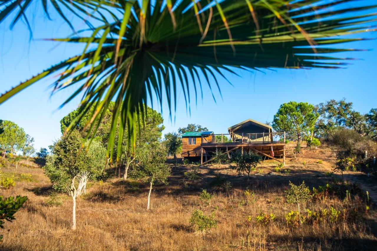 Figueirinha Ecoturismo Konuk evi Monte da Estrada Dış mekan fotoğraf