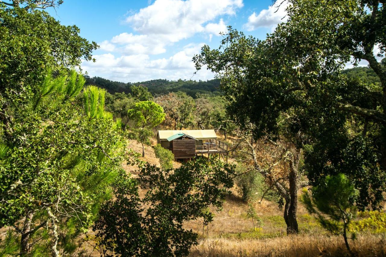 Figueirinha Ecoturismo Konuk evi Monte da Estrada Dış mekan fotoğraf