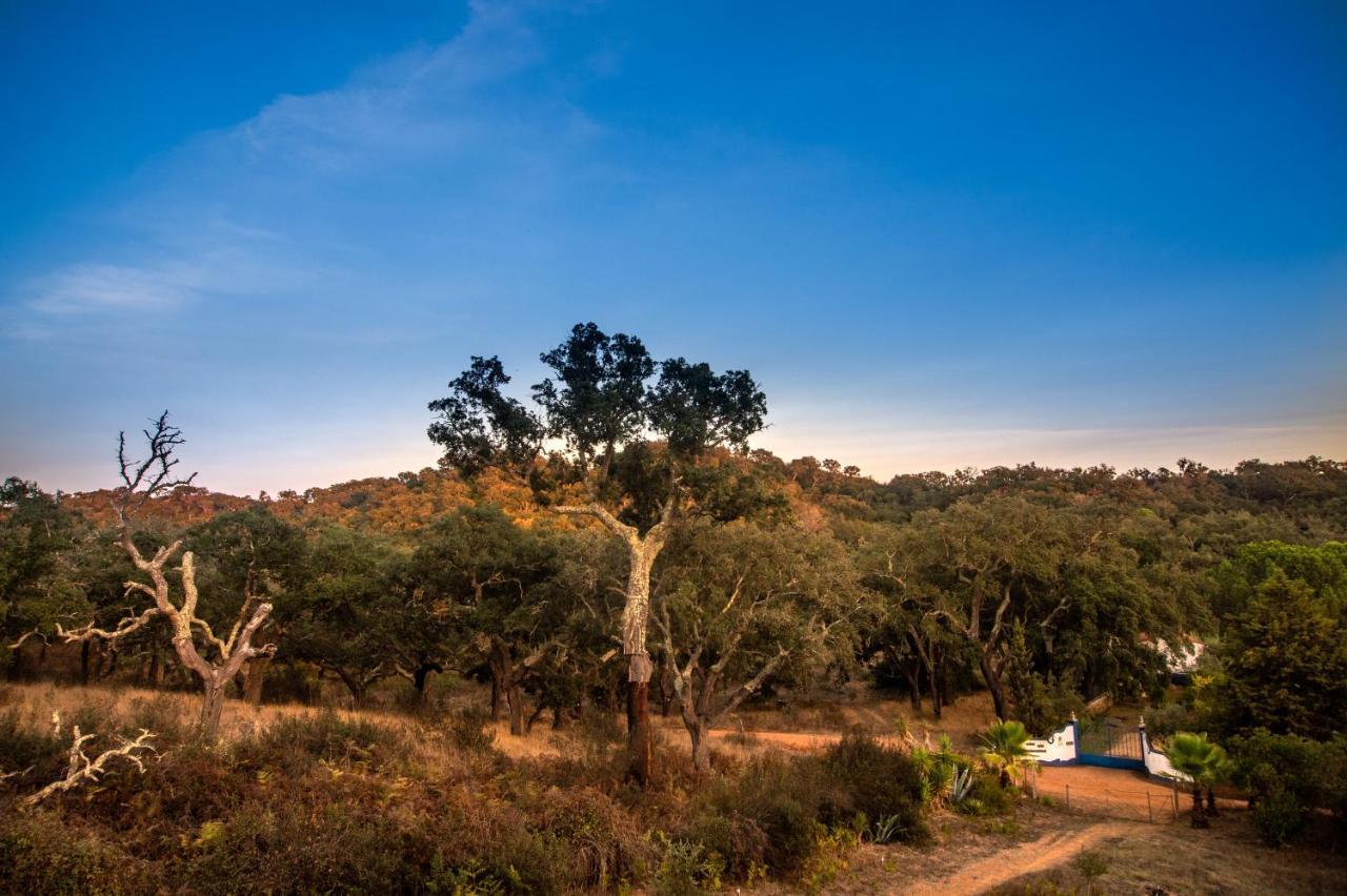 Figueirinha Ecoturismo Konuk evi Monte da Estrada Dış mekan fotoğraf