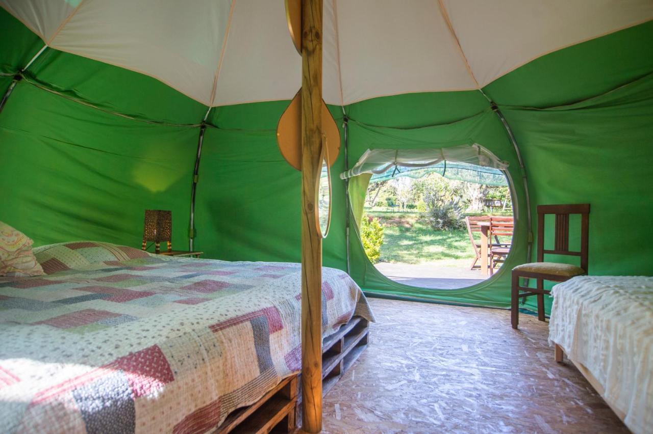 Figueirinha Ecoturismo Konuk evi Monte da Estrada Dış mekan fotoğraf