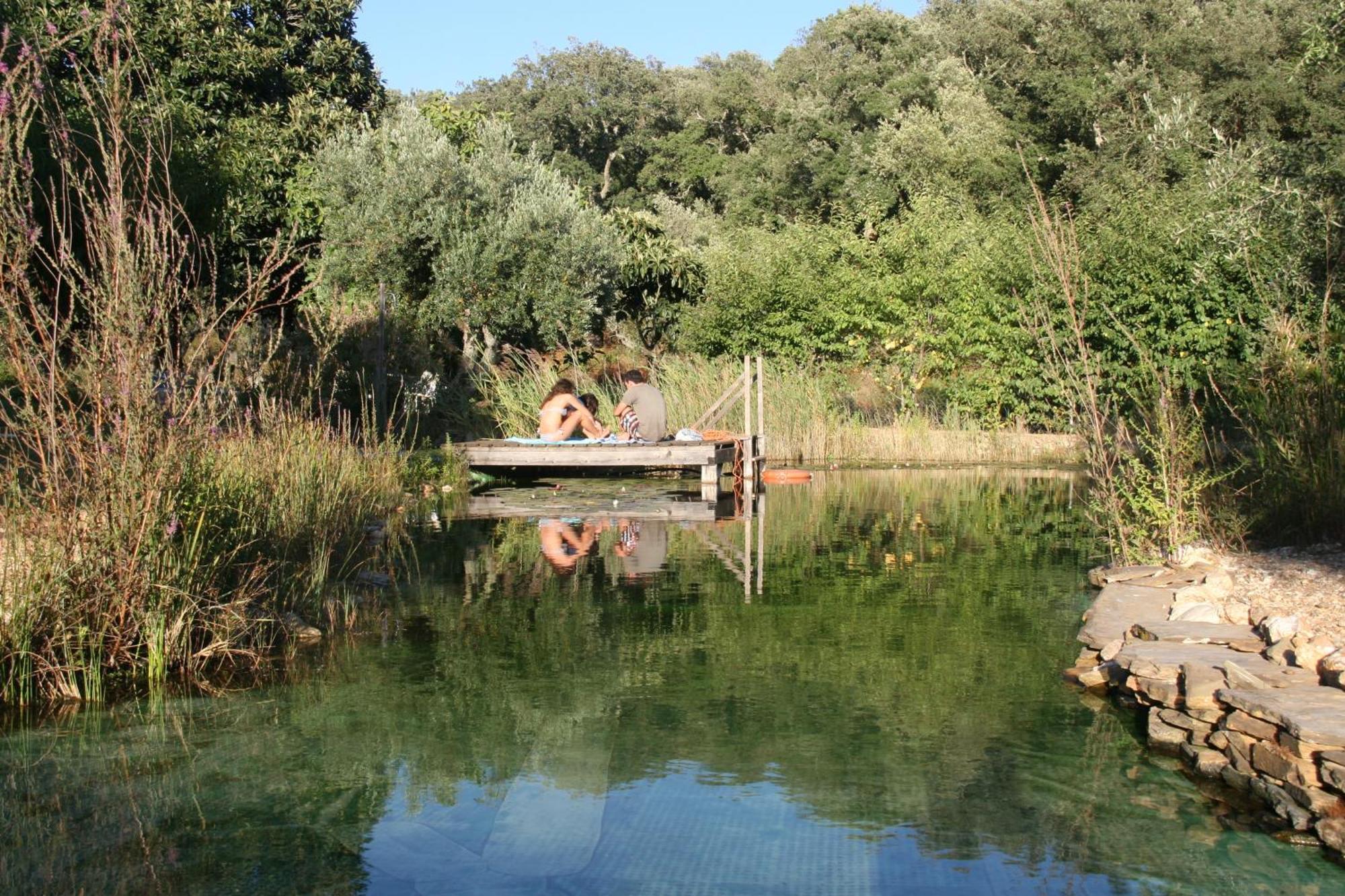 Figueirinha Ecoturismo Konuk evi Monte da Estrada Dış mekan fotoğraf
