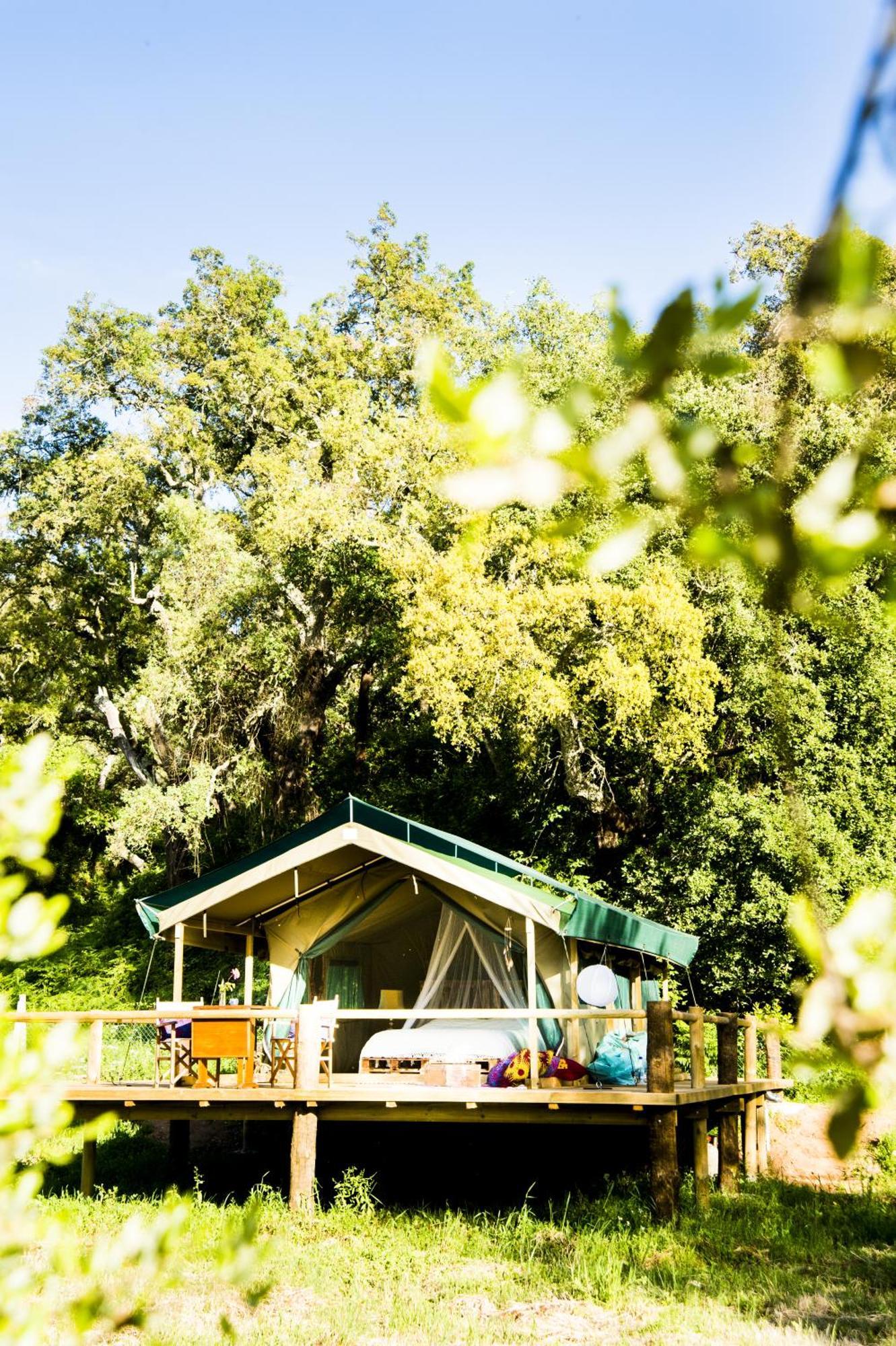 Figueirinha Ecoturismo Konuk evi Monte da Estrada Oda fotoğraf