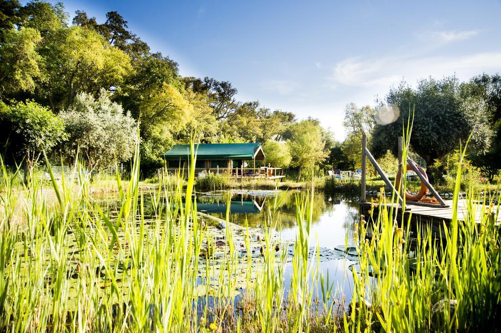 Figueirinha Ecoturismo Konuk evi Monte da Estrada Dış mekan fotoğraf